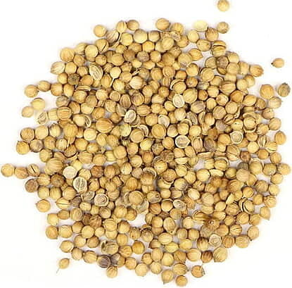 Coriander (Cilantro) - Coriandrum Sativum L